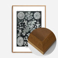 Oak Wood Frame