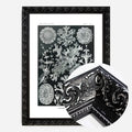 Black Ornate Frame
