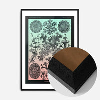 Lichens Pink and Teal Vintage Antique Print