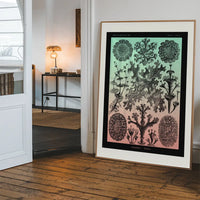 Lichens Pink and Teal Vintage Antique Print