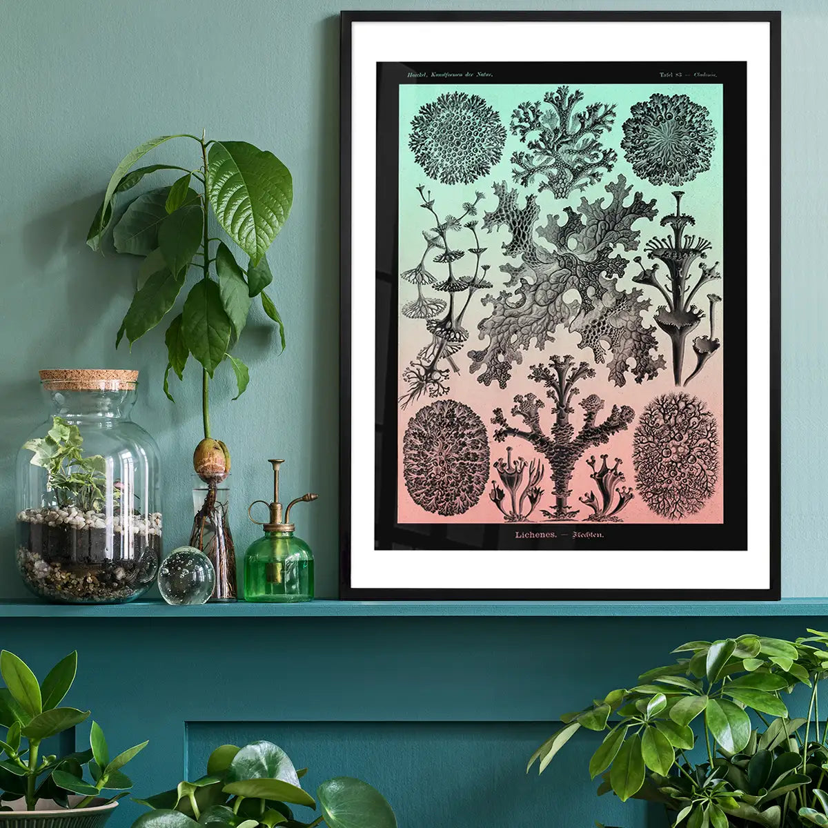 Lichens Pink and Teal Vintage Antique Print