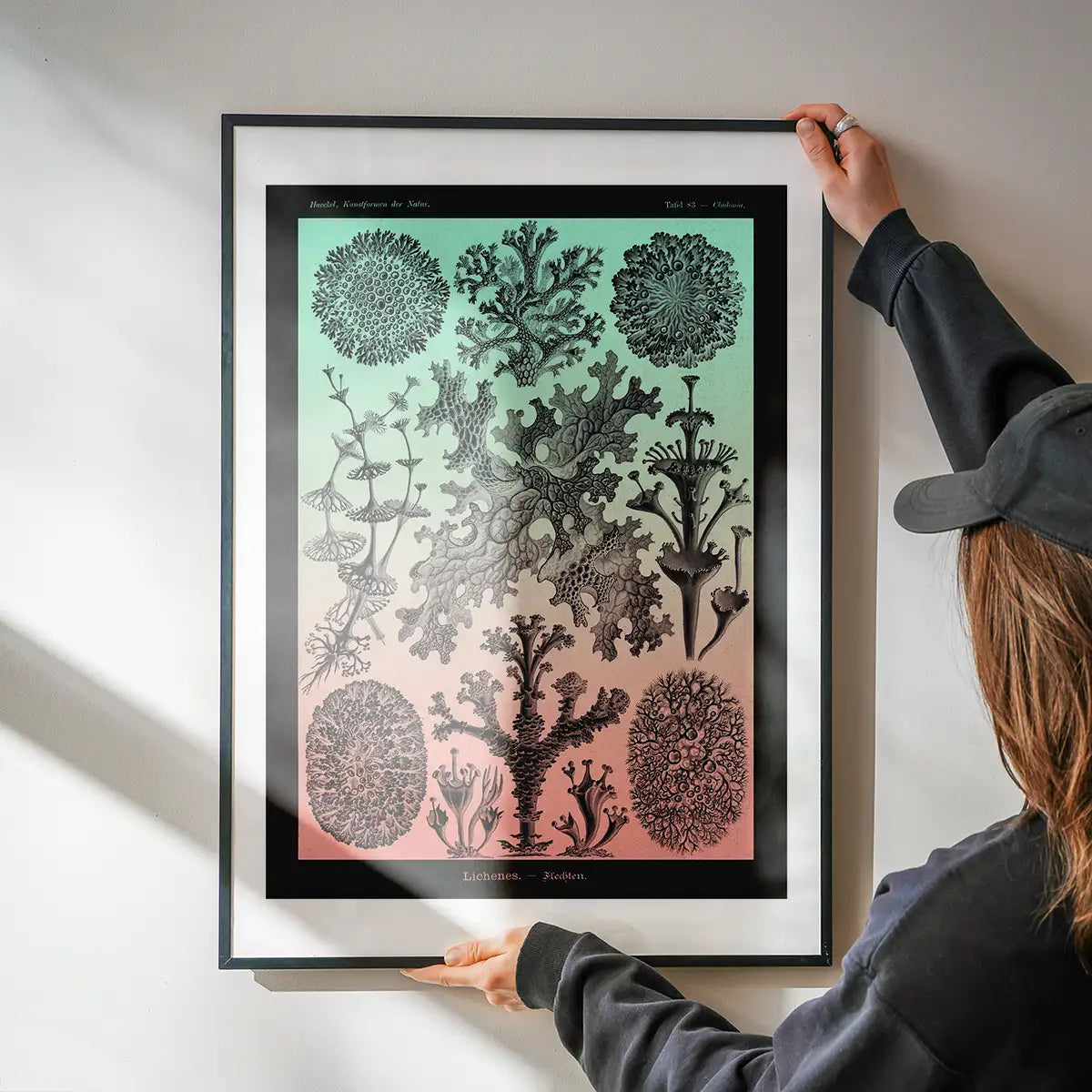 Lichens Pink and Teal Vintage Antique Print