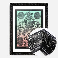 Lichens Pink and Teal Vintage Antique Print