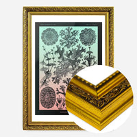 Lichens Pink and Teal Vintage Antique Print