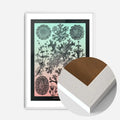 White Wood Frame