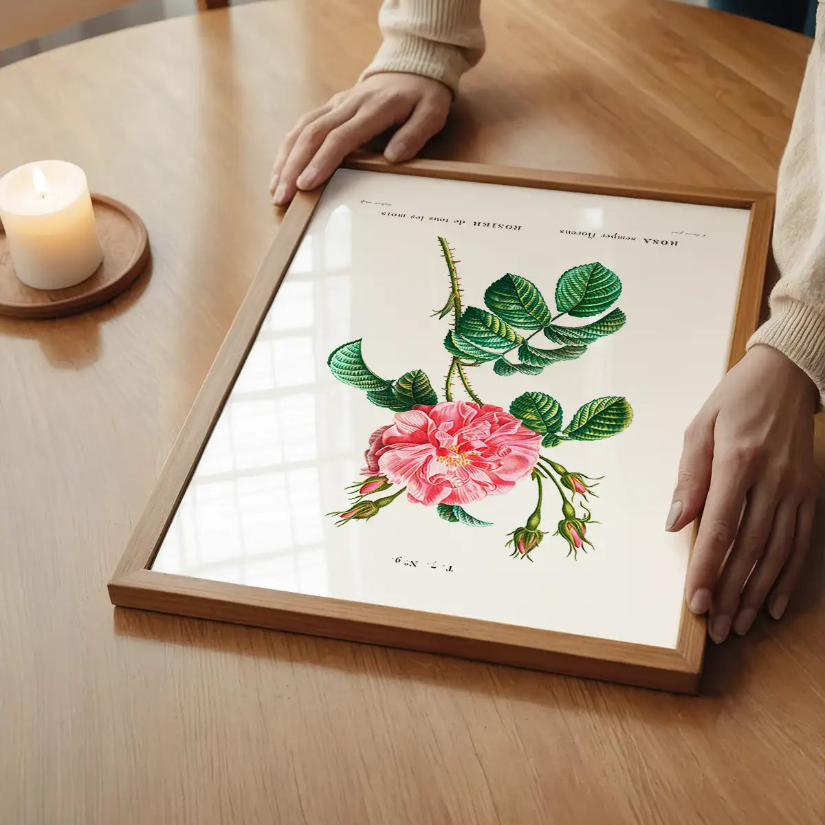 Thorny Single Rose Vintage Antique Print
