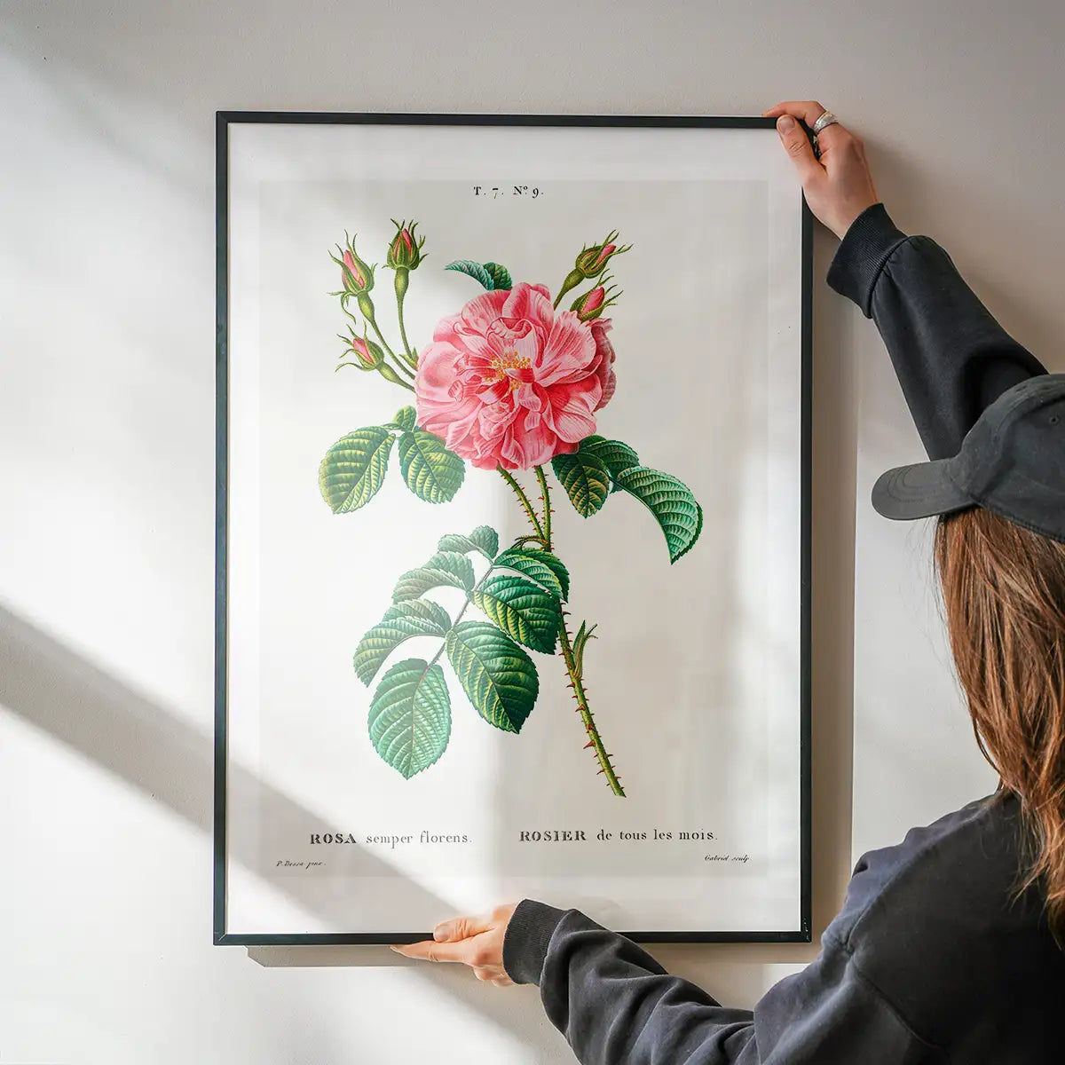 Thorny Single Rose Vintage Antique Print