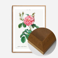 Thorny Single Rose Vintage Antique Print