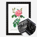 Black Ornate Frame