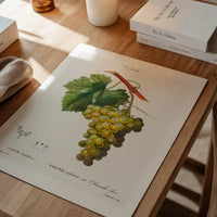 Bunch of Grapes Vintage Antique Fruit Print