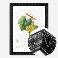 Bunch of Grapes Vintage Antique Fruit Print