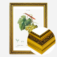 Bunch of Grapes Vintage Antique Fruit Print