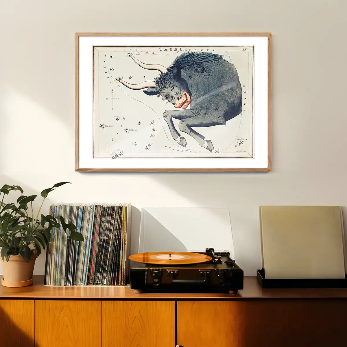 Taurus Astrology Space Vintage Antique Print