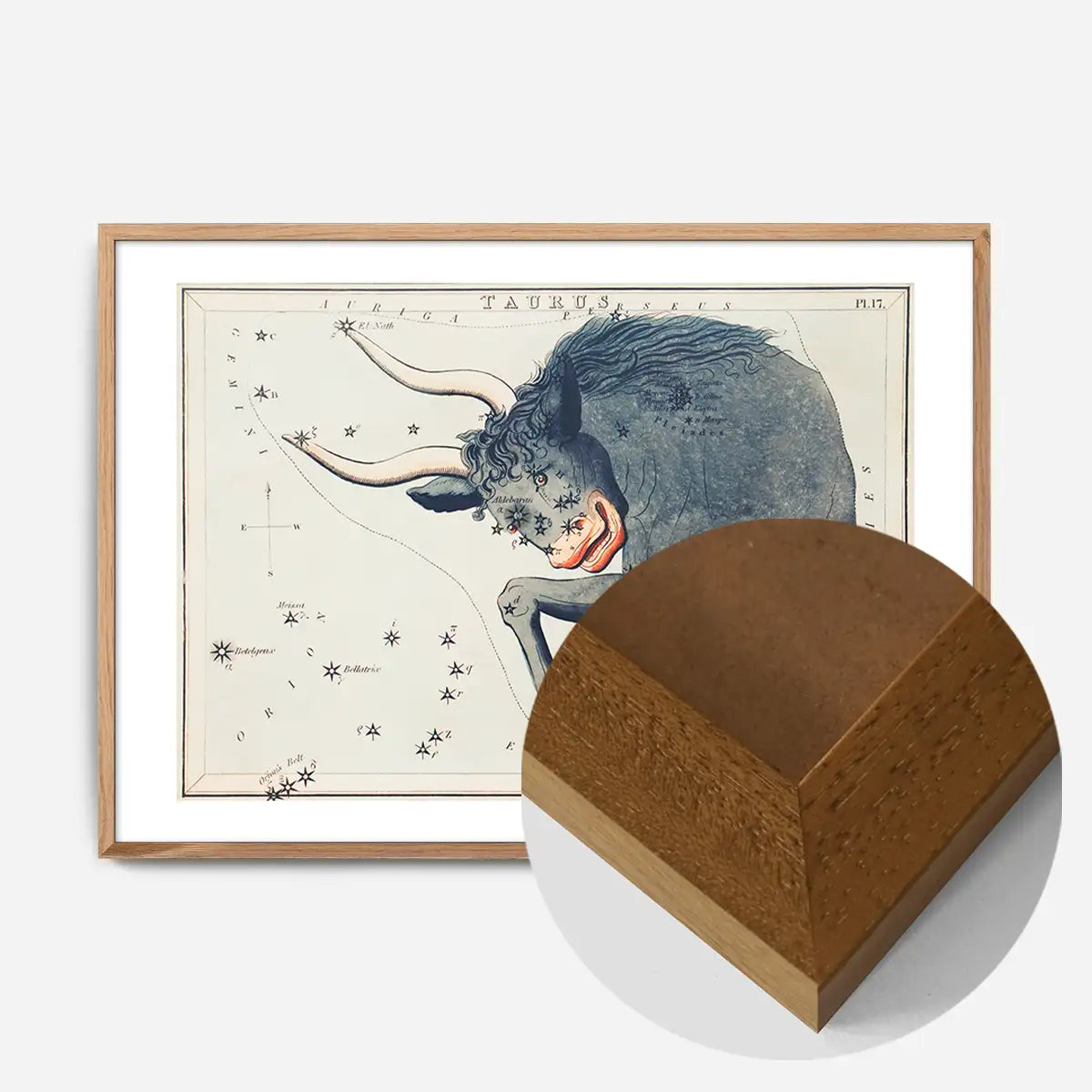 Taurus Astrology Space Vintage Antique Print