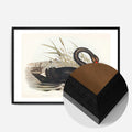 Black Wood Frame