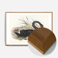Oak Wood Frame