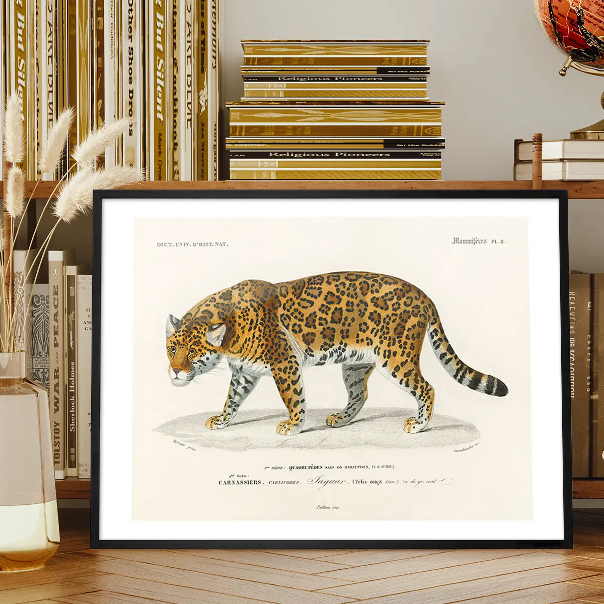 Leopard Vintage Antique Print