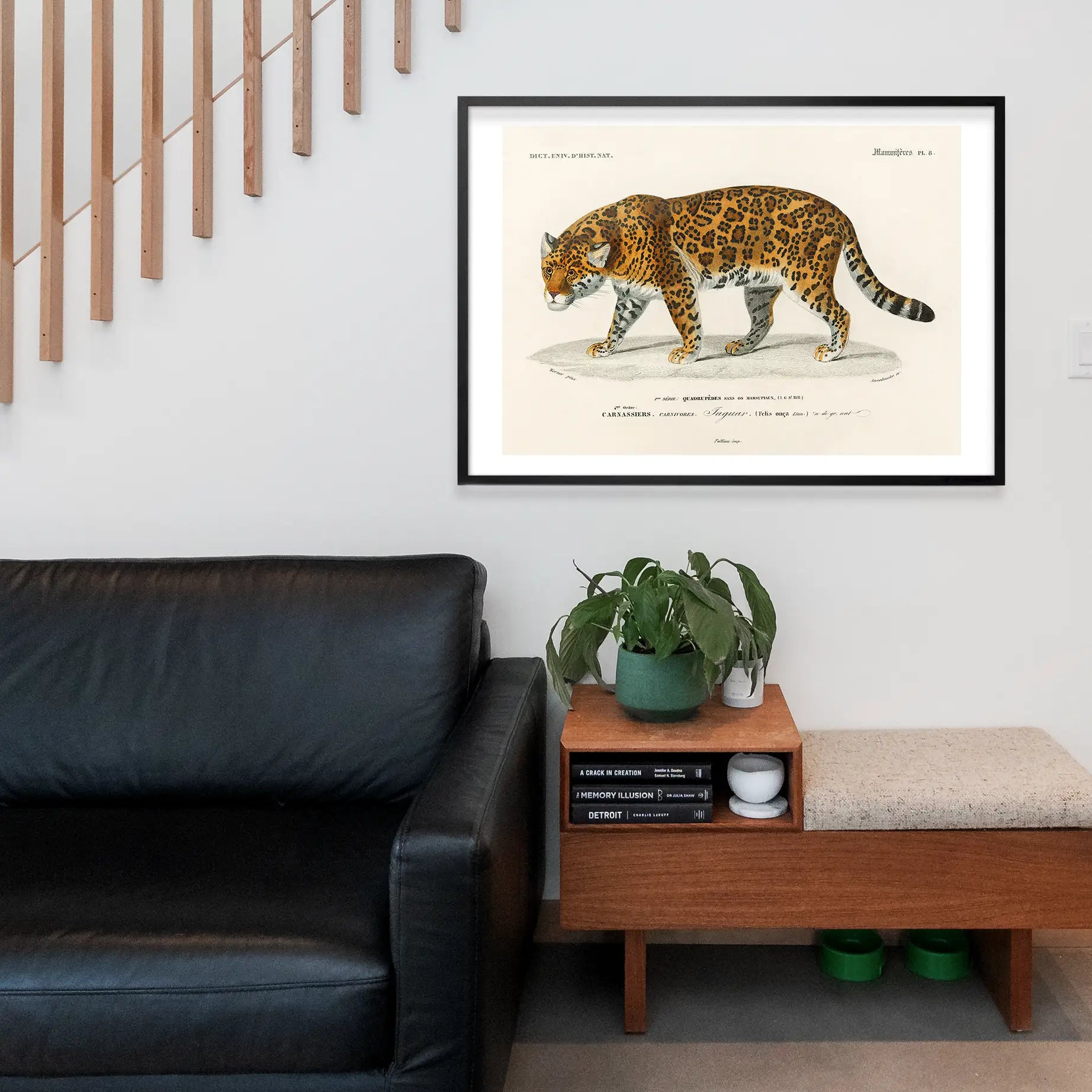 Leopard Vintage Antique Print