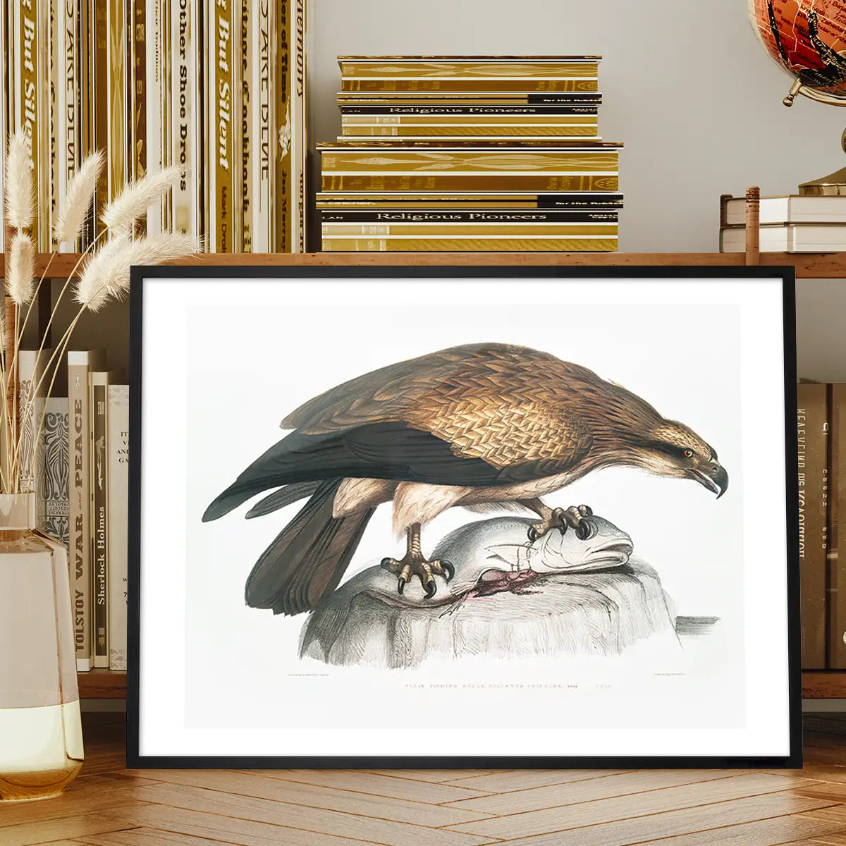 Eagle Vintage Antique Bird Print