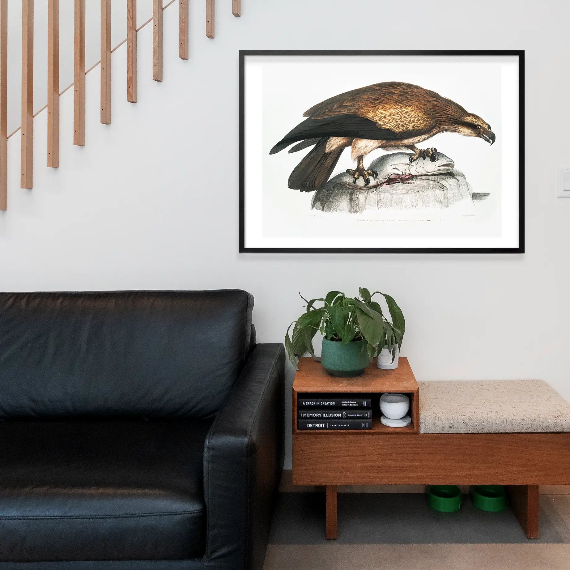 Eagle Vintage Antique Bird Print
