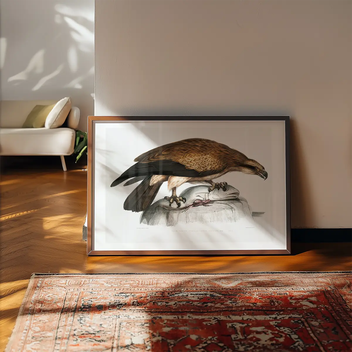 Eagle Vintage Antique Bird Print