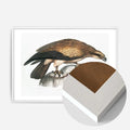 White Wood Frame