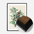 Black Wood Frame