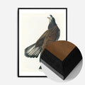 Black Wood Frame