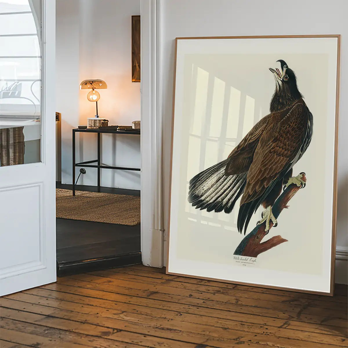White Headed Eagle Vintage Antique Bird Print