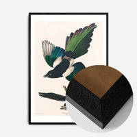 Magpies Vintage Antique Bird Print