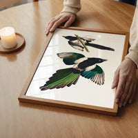 Magpies Vintage Antique Bird Print