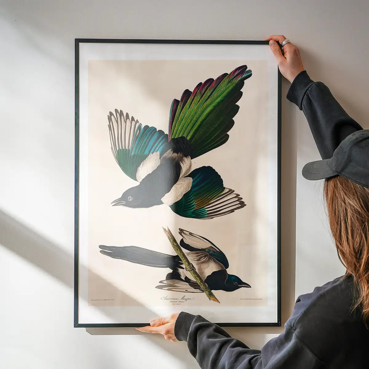 Magpies Vintage Antique Bird Print