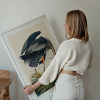 Blue Heron Vintage Antique Bird Print