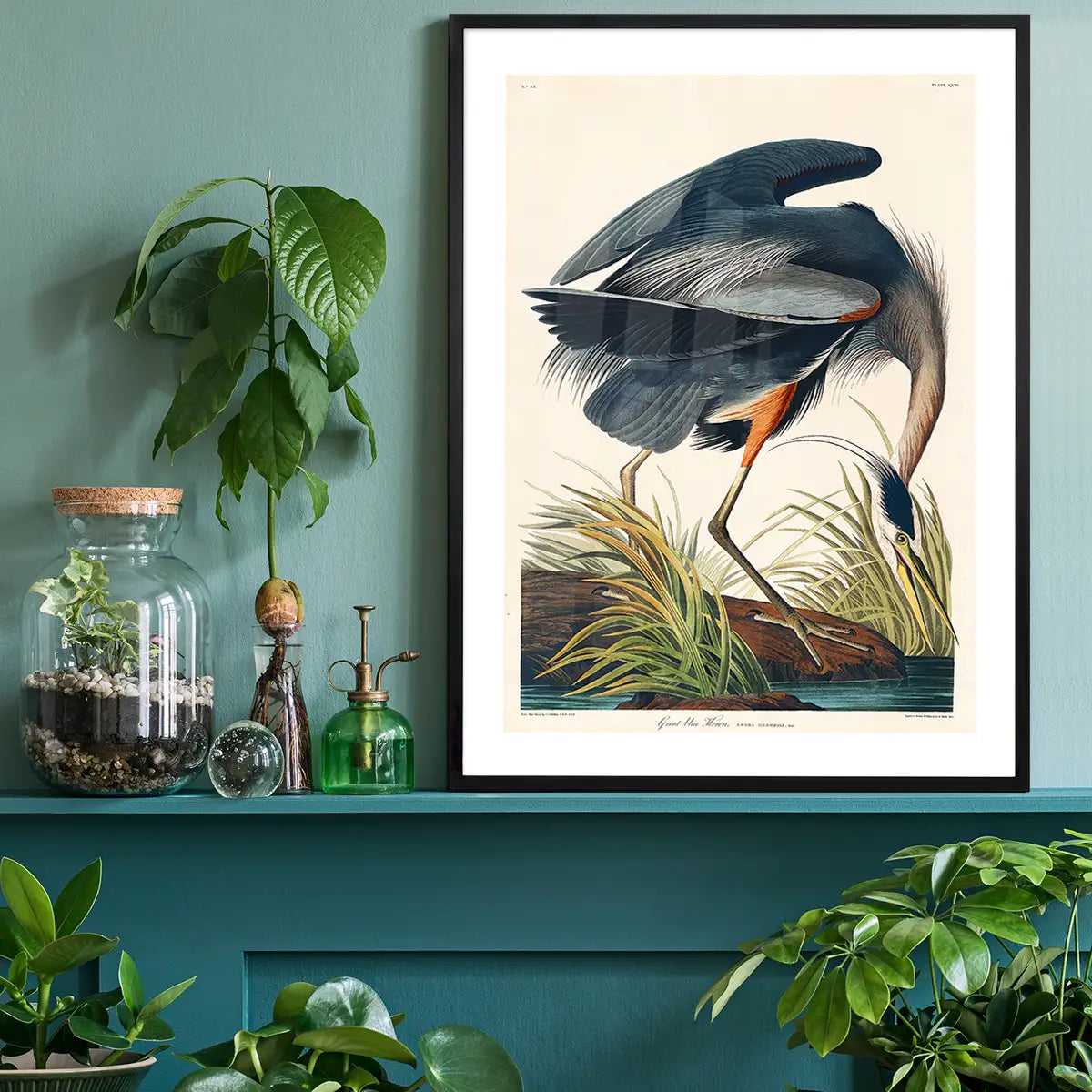 Blue Heron Vintage Antique Bird Print