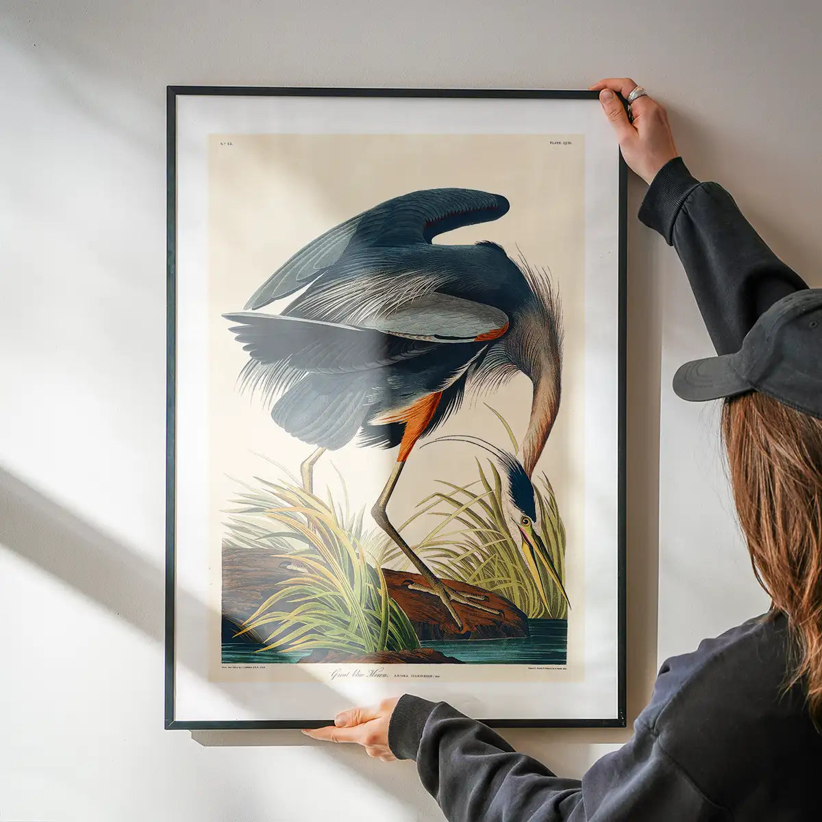 Blue Heron Vintage Antique Bird Print