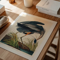 Blue Heron Vintage Antique Bird Print