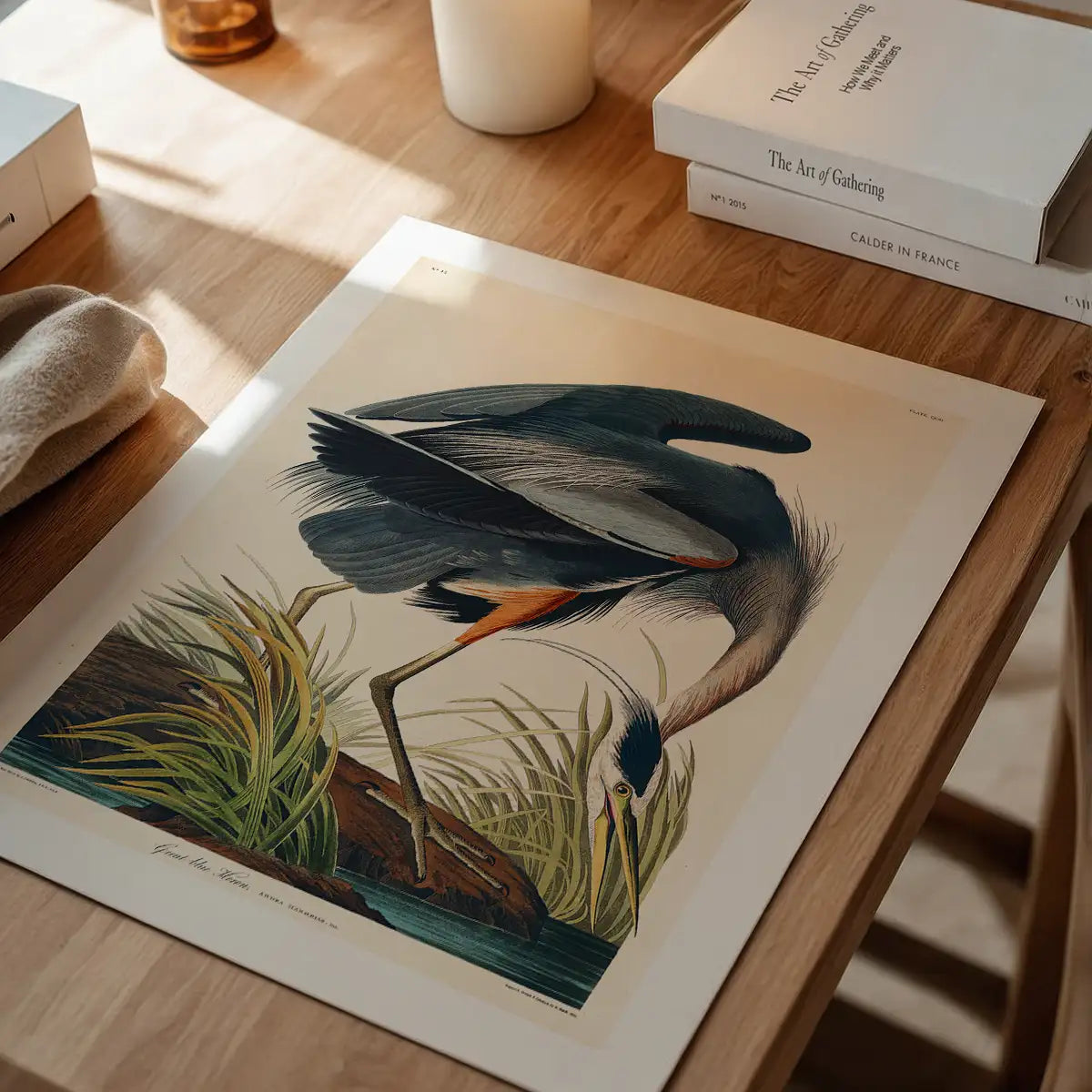 Blue Heron Vintage Antique Bird Print