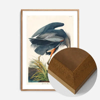 Blue Heron Vintage Antique Bird Print