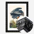 Black Ornate Frame