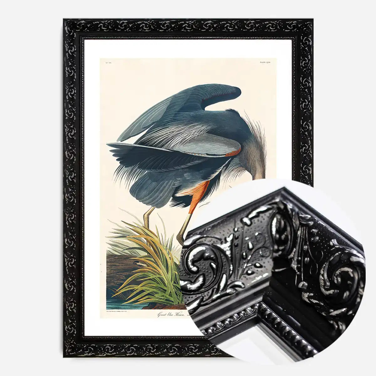 Blue Heron Vintage Antique Bird Print