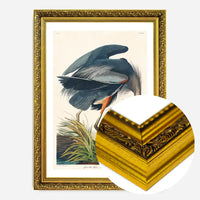 Blue Heron Vintage Antique Bird Print