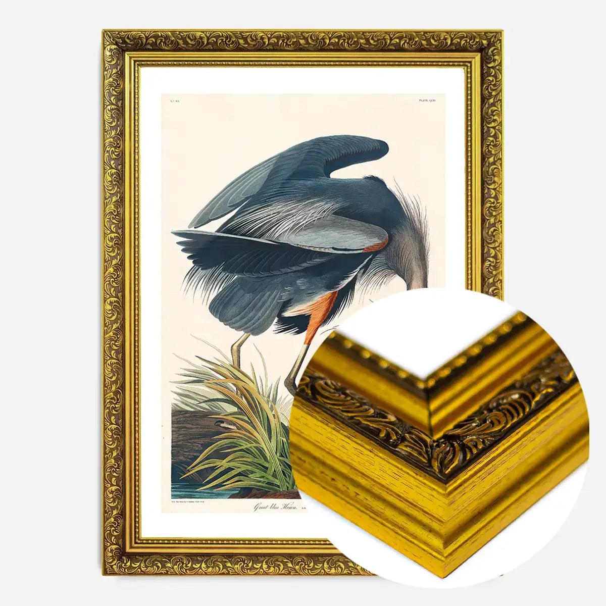 Blue Heron Vintage Antique Bird Print