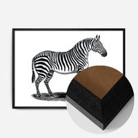 Zebra Vintage Antique Print