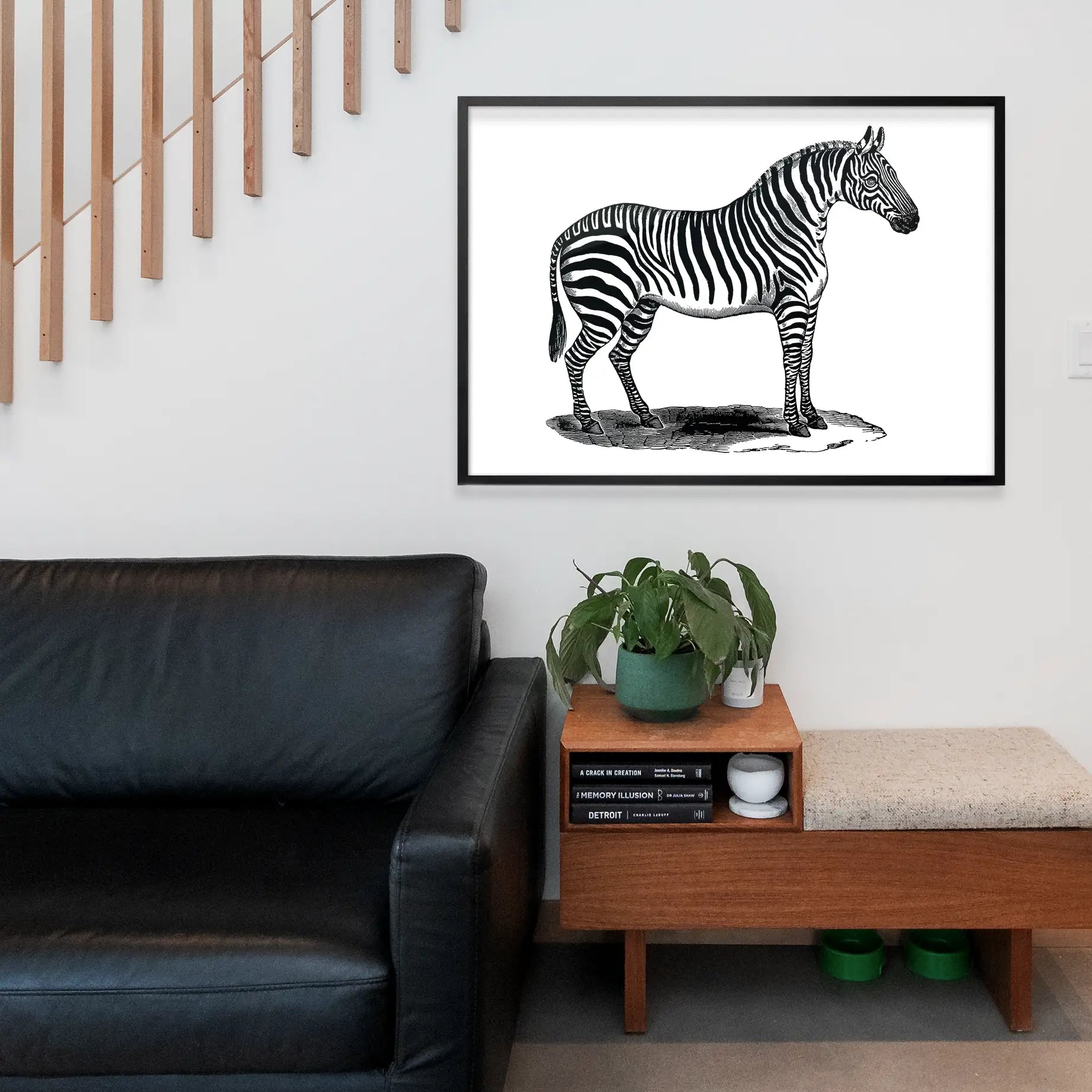 Zebra Vintage Antique Print