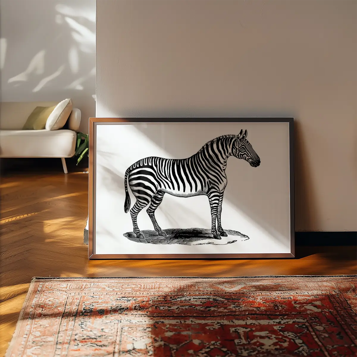 Zebra Vintage Antique Print
