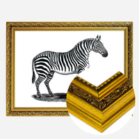 Zebra Vintage Antique Print