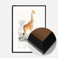 Black Wood Frame