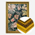 Gold Ornate Frame