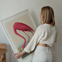 American Flamingo Vintage Antique Bird Print