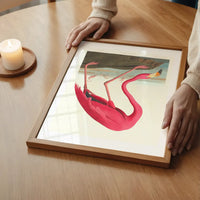 American Flamingo Vintage Antique Bird Print